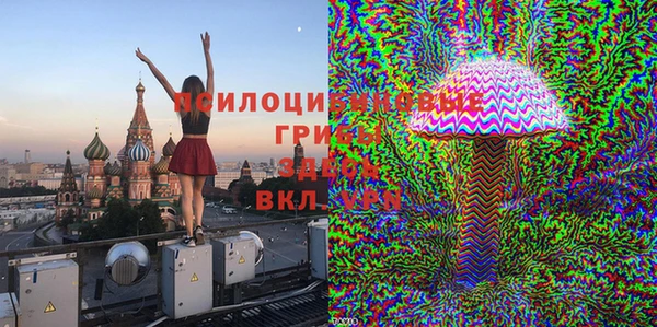 хмурый Арсеньев