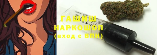 хмурый Арсеньев