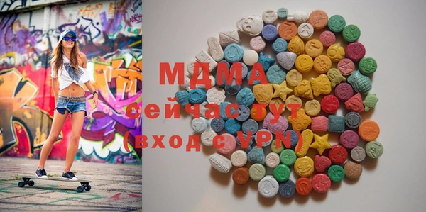 хмурый Арсеньев
