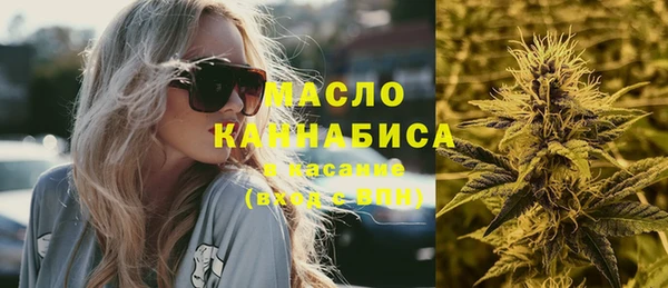 хмурый Арсеньев
