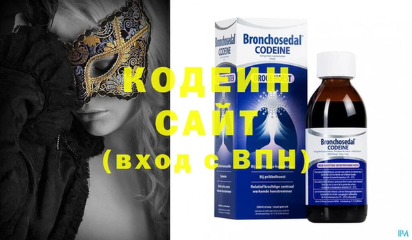 хмурый Арсеньев