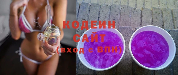 хмурый Арсеньев