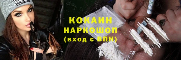 хмурый Арсеньев